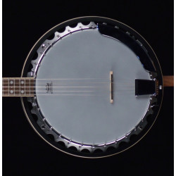 Oscar schmidt Lefty 5 string Banjo