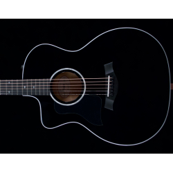 Taylor 214ce Deluxe with...
